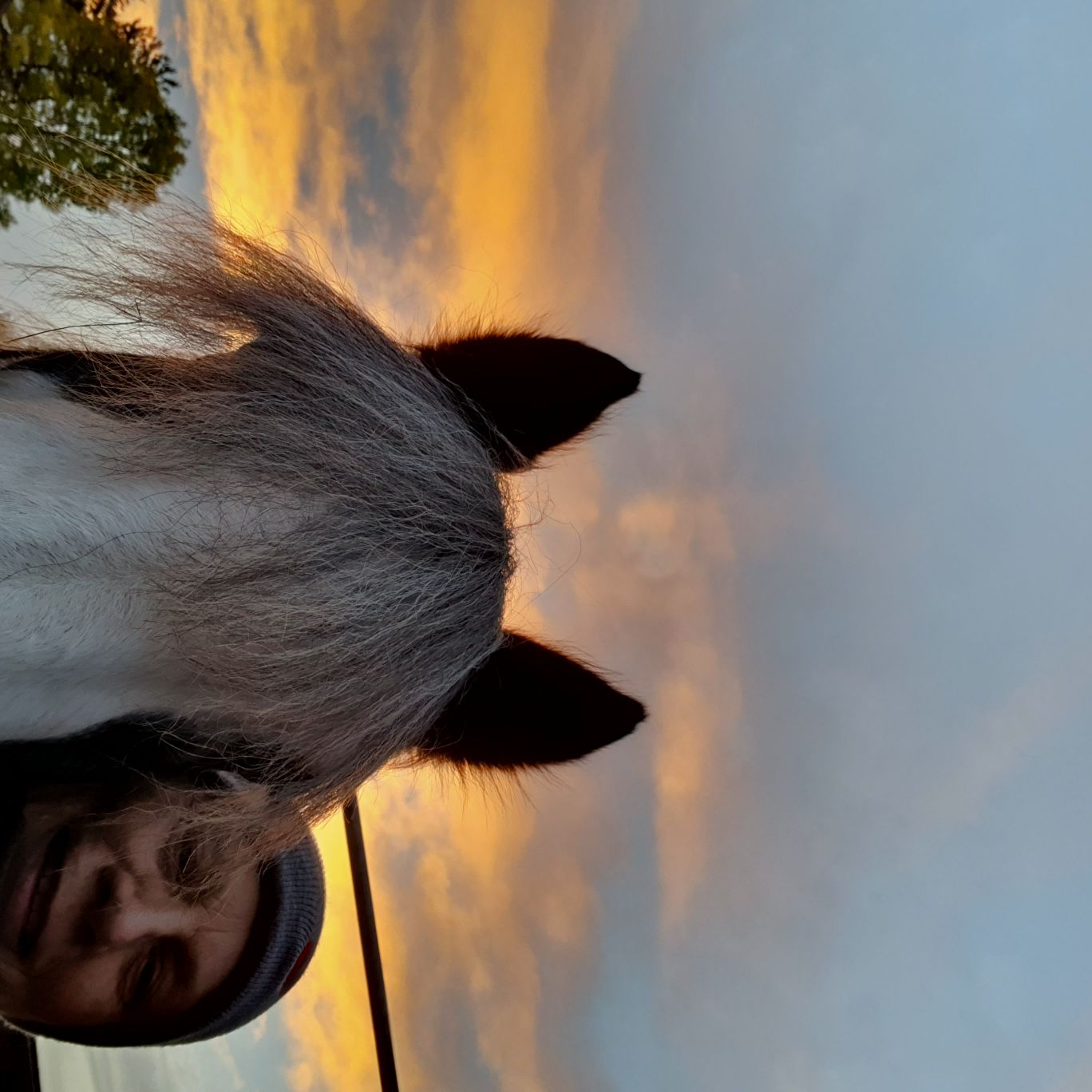 2023 11 November 574